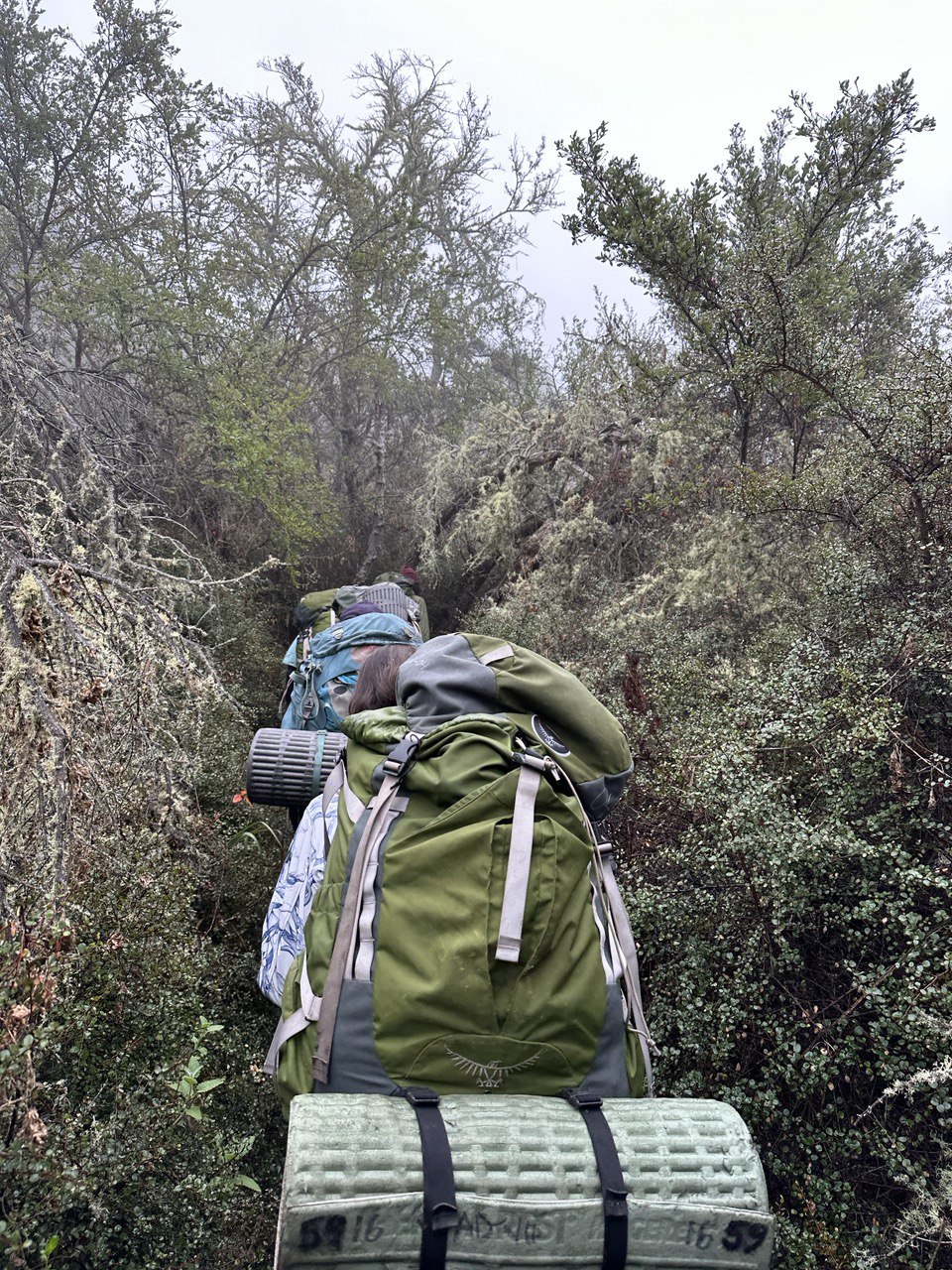 hiking